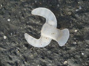 a plastic albino lobster