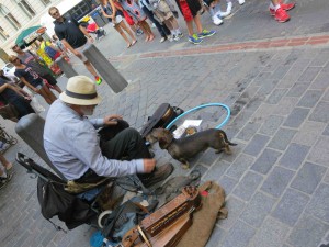 Professor Heller, who plays the Hurly Burly outside the Old State House, Boston, July 3, 2015